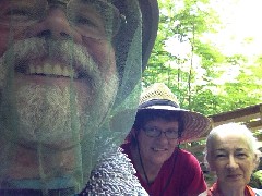 Dan Dorrough; Beth Keloneva; Ruth Bennett McDougal Dorrough; MI-04; NCT; Copemath MI
