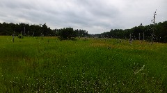 NCT; MI-05; Manistee MI