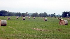 NCT; E County Rd B; Foxboro, WI