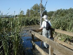 Ruth Dorrough; NCMC hike Michigan NCT Hiking