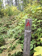 sign (Campsite)
NCT/Kek Kekekabic Trail MN