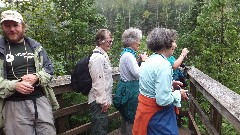 David Bates; Mikie Kuhlman; Sharon Galbraith; Jo Taylor; NCT Minnesota; Superior HIking Trail Devil s Kettle Falls