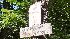 sign No Stopping Bus Stop
sign Outhouse Corners