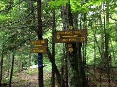 sign Puffer Pond Trail
sign Hour Pond Trail
Hiking; NCT; New York; Adirondacks