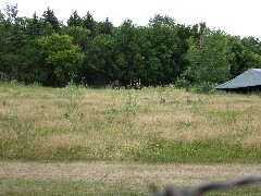 Buffalo; North Dakota; NCT Conference