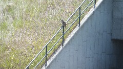 NCT; McCluskey Canal, ND