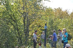 DSC_0073 JPG