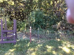 NCT; Fargo North Dakota; Celebration; Our Hike; NCT; Jorgen�s Hollow Campground -- Ekre Grassland Preserve, ND