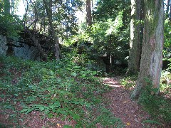 Kane Hiking NCT Pennsylvania PA-01