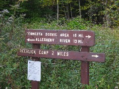 PA-01 Pennsylvania NCT Hiking; 
sign Tionesta Scenic Area, Allegheny River Camp; sign Deerlick Camp 2 miles