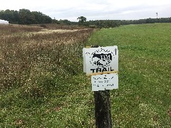 NCT; Vermont; TAM; Trail Around MIddlebury