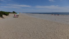 Hammonasset Beach State Park, Madison, CT